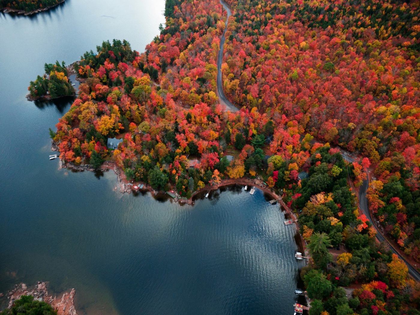 Aerial view of a lake shoreline wrapped in autumn forest