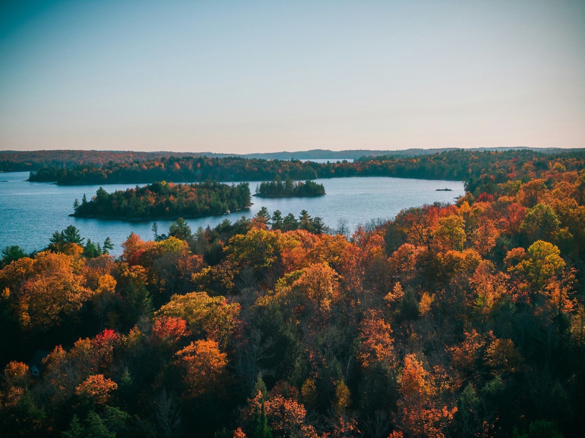 Maple forest in red and orange autumn colour around a blue lake