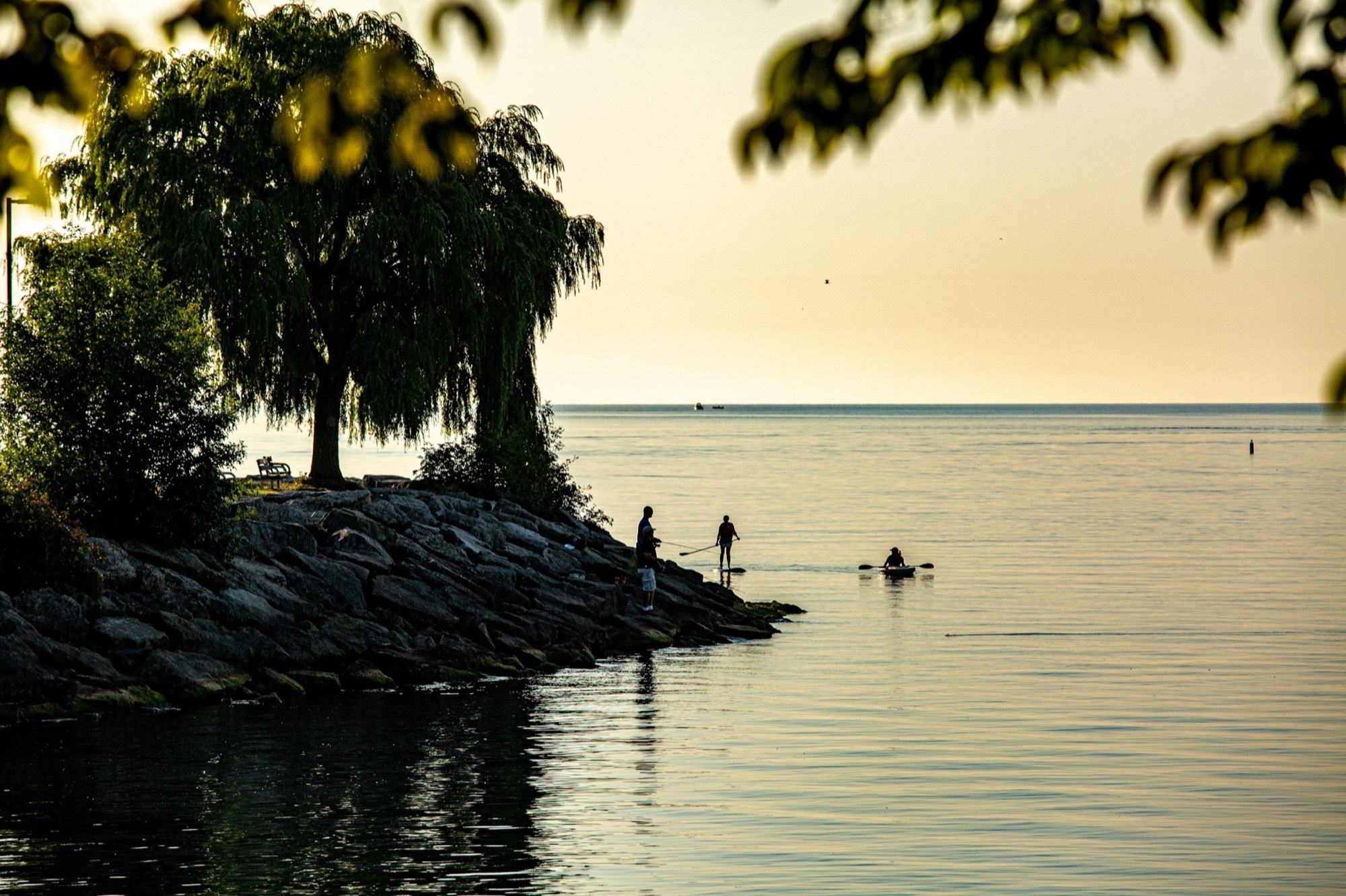 Golden evening light over a calm lake with a willow on a rocky point